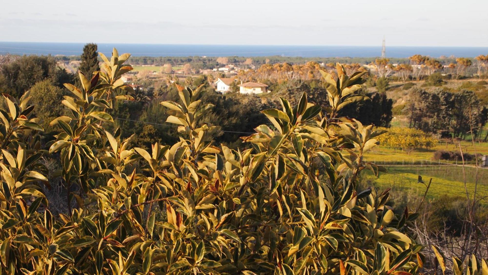 הוילה סאסארי Asinara מראה חיצוני תמונה