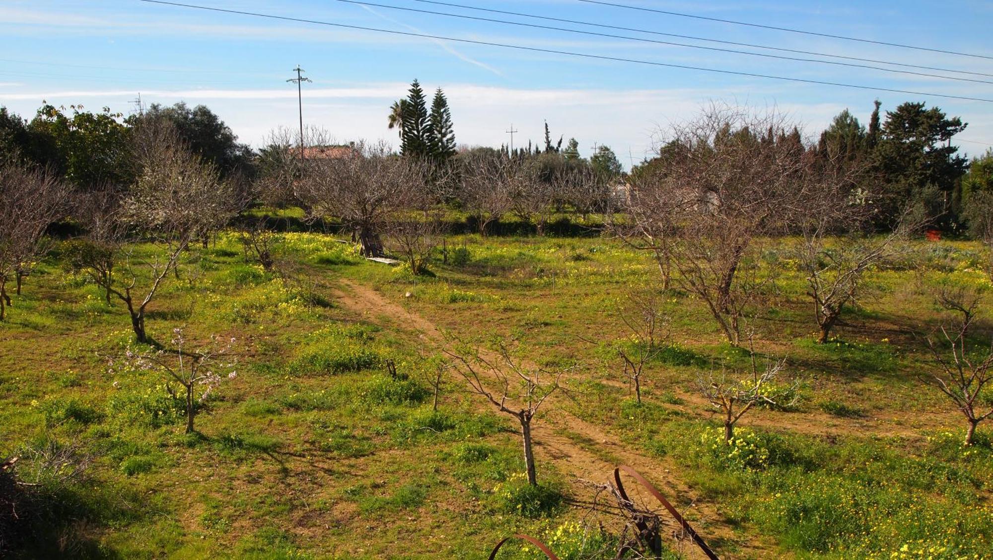 הוילה סאסארי Asinara מראה חיצוני תמונה